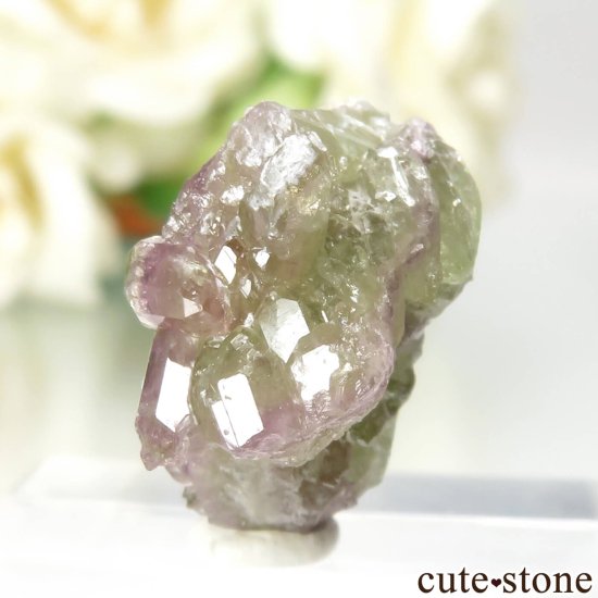 ʥ ٥å Jeffrey Mine ٥ӥʥȤθ No.7μ̿2 cute stone