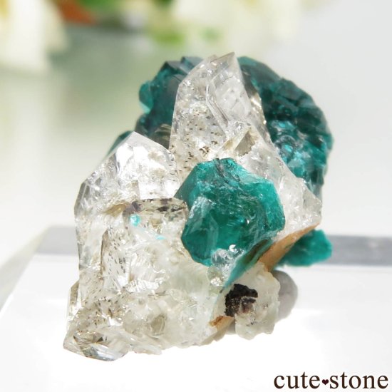 󥴶¹ Mindouli ץơĤθ No.6μ̿2 cute stone