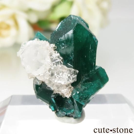 コンゴ共和国 Mindouli産 ダイオプテーズ＆クォーツの原石 No.7