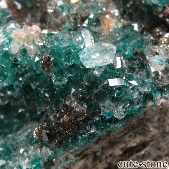 コンゴ共和国 Mindouli産 ダイオプテーズ＆クォーツの原石 No.8