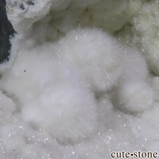  Mumbai ʥȡġ㥤饤Ȥդ No.19μ̿1 cute stone