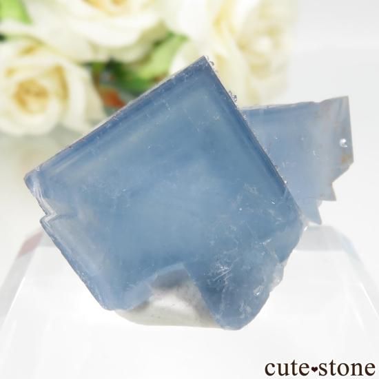 アメリカ ニューメキシコ州 Bingham産 ブルーフローライト