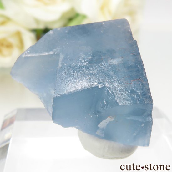ꥫ ˥塼ᥭ Bingham ֥롼ե饤ȡĤθ No.27μ̿0 cute stone