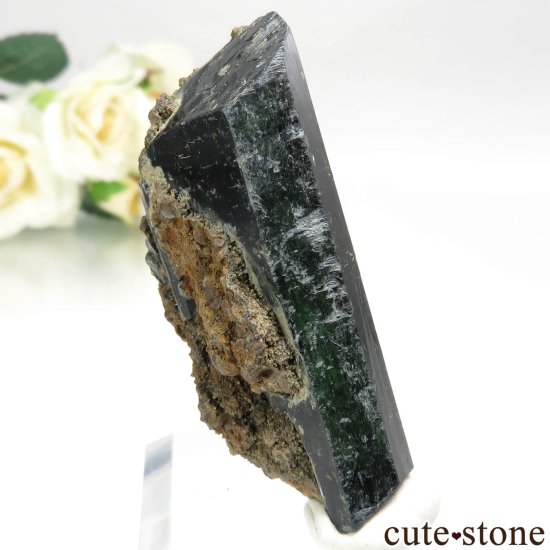 ֥饸 Sao Gabriel da Cachoeira ӥӥʥȤθ No.7μ̿1 cute stone