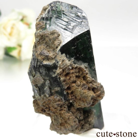 ֥饸 Sao Gabriel da Cachoeira ӥӥʥȤθ No.7μ̿2 cute stone
