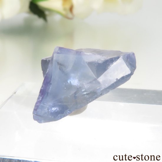 ꥫ ˥塼ᥭ Royal Flush Mine ֥롼ե饤θ No.1μ̿2 cute stone