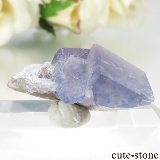 ꥫ ˥塼ᥭ Royal Flush Mine ֥롼ե饤θ No.2μ̿1 cute stone