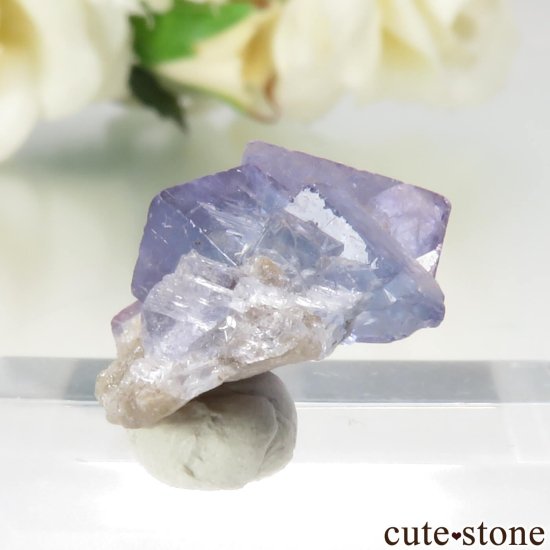 ꥫ ˥塼ᥭ Royal Flush Mine ֥롼ե饤θ No.2μ̿2 cute stone