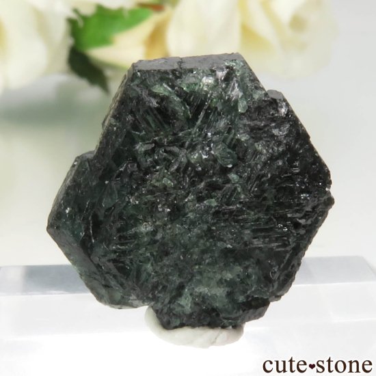 Х֥ Novello Mine 쥭ɥ饤ȡʥ꥽٥ˤθ No.3μ̿1 cute stone