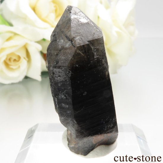 饤ʻ ⡼ - 󥴡ʱ徽 - 徽ˤθ No.1μ̿0 cute stone