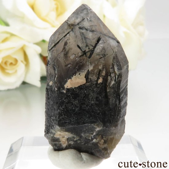 饤ʻ ⡼ - 󥴡ʱ徽 - 徽ˤθ No.1μ̿1 cute stone