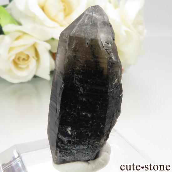 饤ʻ ⡼ - 󥴡ʱ徽 - 徽ˤθ No.1μ̿2 cute stone