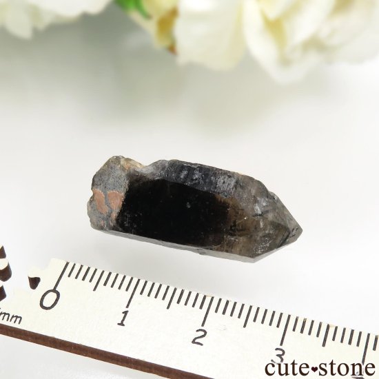 饤ʻ ⡼ - 󥴡ʱ徽 - 徽ˤθ No.1μ̿3 cute stone