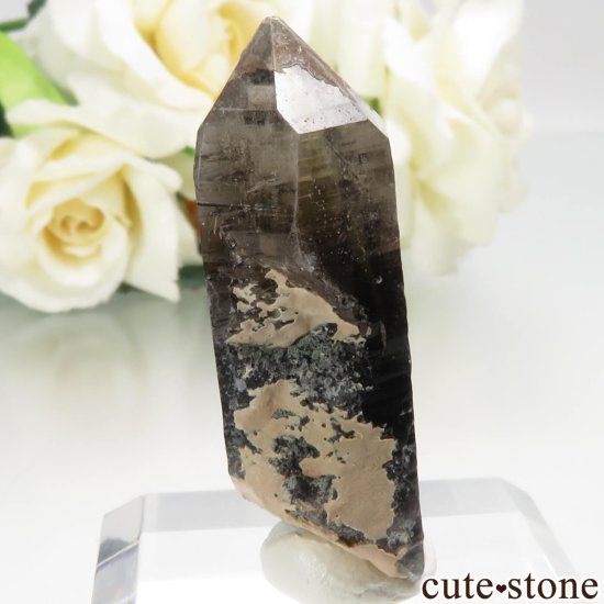 饤ʻ ⡼ - 󥴡ʱ徽 - 徽ˤθ No.2μ̿0 cute stone