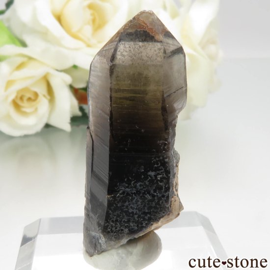 饤ʻ ⡼ - 󥴡ʱ徽 - 徽ˤθ No.2μ̿1 cute stone