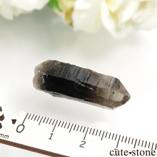 饤ʻ ⡼ - 󥴡ʱ徽 - 徽ˤθ No.2μ̿3 cute stone