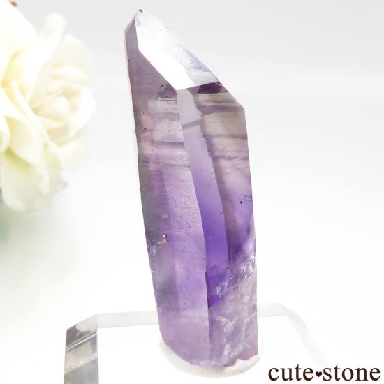 ʥߥӥ ֥ɥСBrandberg˻ ᥸Ȥθ No.14μ̿0 cute stone