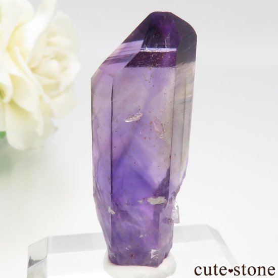 ʥߥӥ ֥ɥСBrandberg˻ ᥸Ȥθ No.15μ̿1 cute stone