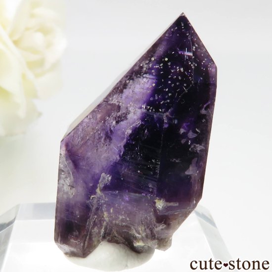 ʥߥӥ ֥ɥСBrandberg˻ ꥢ᥸Ȥθ No.16μ̿3 cute stone