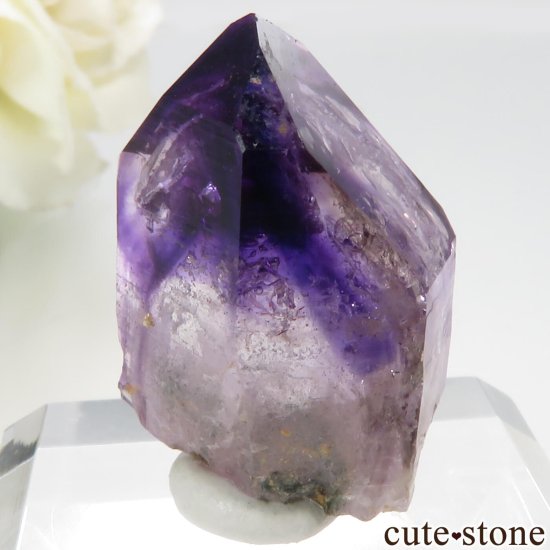ʥߥӥ ֥ɥСBrandberg˻ ꥢ᥸Ȥθ No.17μ̿2 cute stone