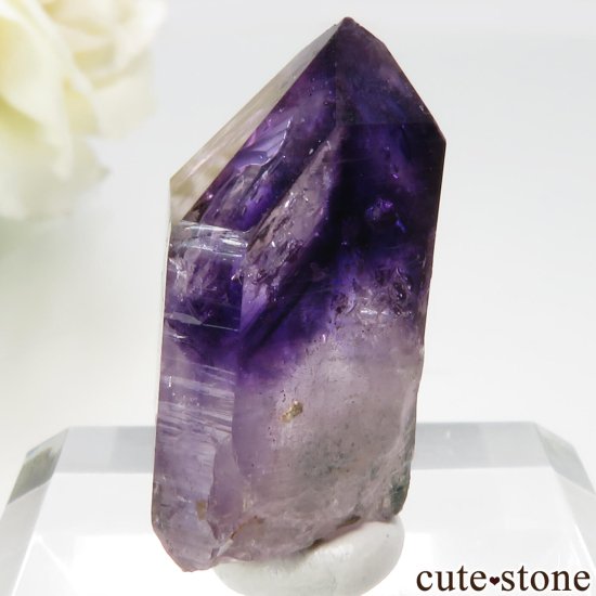 ʥߥӥ ֥ɥСBrandberg˻ ꥢ᥸Ȥθ No.17μ̿3 cute stone