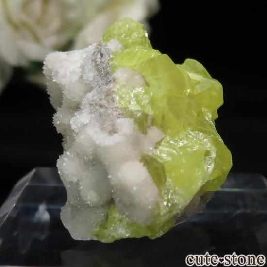 ꥢ ꥢ Cianciana Mines եդ뾽ʸСNo.4μ̿0 cute stone