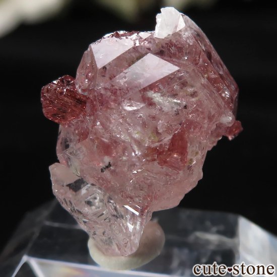 ֥饸 Navegadora claim ڥƥ󥬡ͥåȡĤθ No.7μ̿3 cute stone