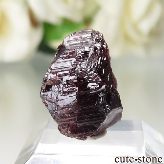 ֥饸 Navegadora claim ڥƥ󥬡ͥåȤθ No.8μ̿0 cute stone