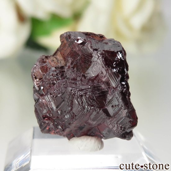 ֥饸 Navegadora claim ڥƥ󥬡ͥåȤθ No.8μ̿1 cute stone