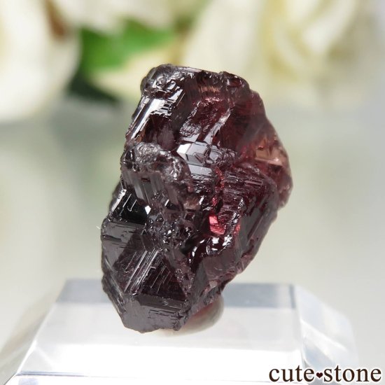 ֥饸 Navegadora claim ڥƥ󥬡ͥåȤθ No.8μ̿2 cute stone