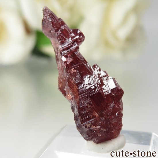 ֥饸 Navegadora claim ڥƥ󥬡ͥåȤθ No.9μ̿0 cute stone