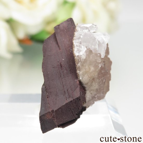 եꥫ N'Chwaning II Mine ߥȤθ No.2μ̿0 cute stone