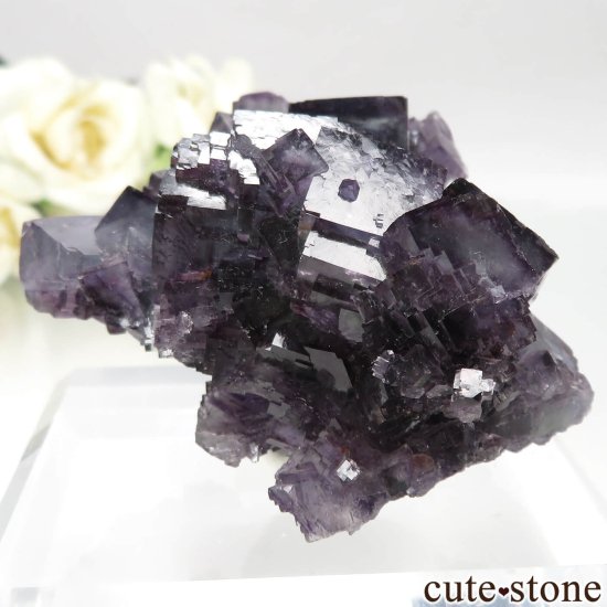 ʥߥӥ Okorusu Mine ե饤Ȥθ No.25μ̿0 cute stone