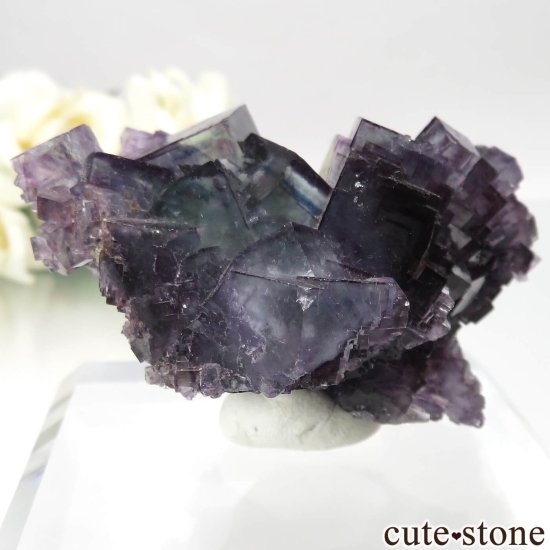 ʥߥӥ Okorusu Mine ե饤Ȥθ No.25μ̿1 cute stone