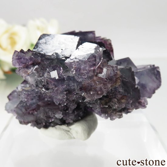 ʥߥӥ Okorusu Mine ե饤Ȥθ No.25μ̿2 cute stone