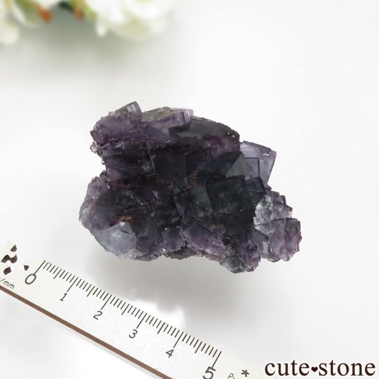 ʥߥӥ Okorusu Mine ե饤Ȥθ No.25μ̿5 cute stone