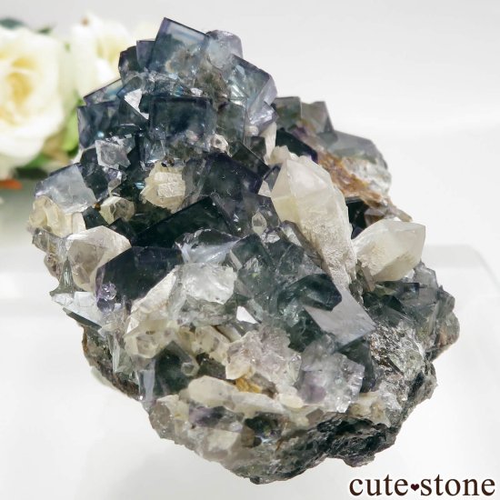 ʥߥӥ Okorusu Mine ե饤ȡĤθ No.26μ̿0 cute stone
