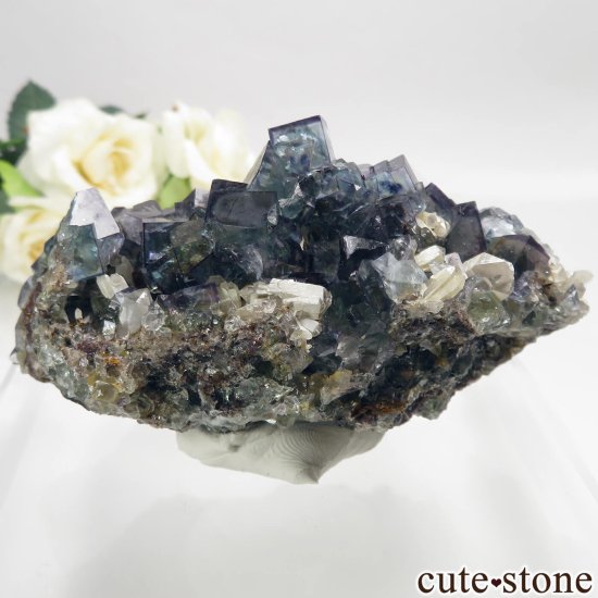 ʥߥӥ Okorusu Mine ե饤ȡĤθ No.26μ̿1 cute stone