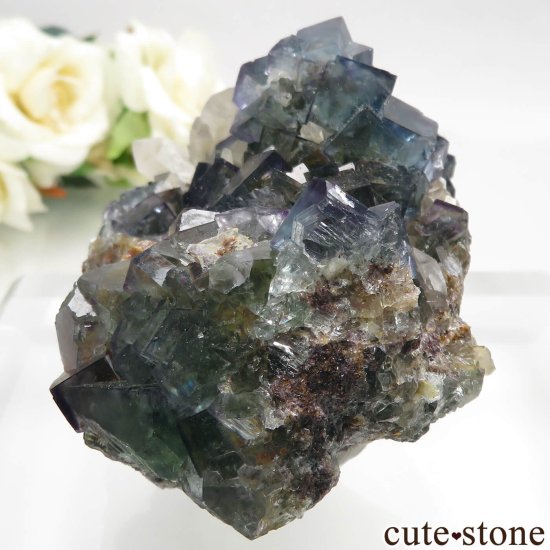 ʥߥӥ Okorusu Mine ե饤ȡĤθ No.26μ̿2 cute stone