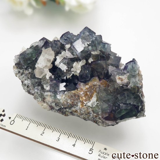ʥߥӥ Okorusu Mine ե饤ȡĤθ No.26μ̿6 cute stone