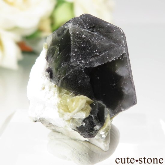 ʥߥӥ 󥴻 ꡼ߥѡץե饤ȡ⥹ХȤθ No.12μ̿0 cute stone
