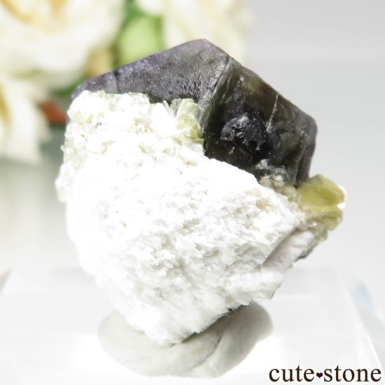 ʥߥӥ 󥴻 ꡼ߥѡץե饤ȡ⥹ХȤθ No.12μ̿1 cute stone