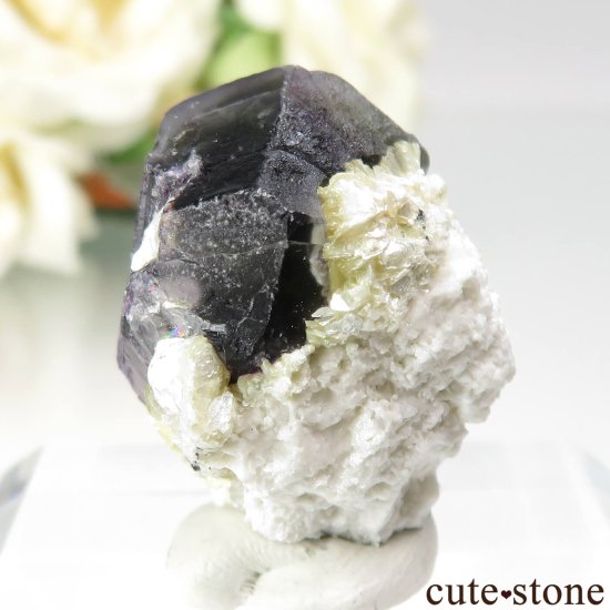 ʥߥӥ 󥴻 ꡼ߥѡץե饤ȡ⥹ХȤθ No.12μ̿2 cute stone