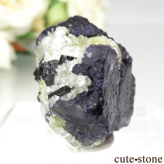 ʥߥӥ 󥴻 ꡼ߥѡץե饤ȡ⥹Хȡ֥åȥޥθ No.13μ̿0 cute stone
