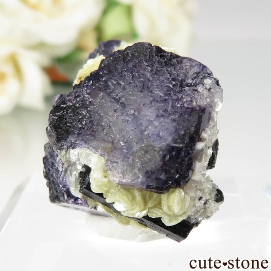 ʥߥӥ 󥴻 ꡼ߥѡץե饤ȡ⥹Хȡ֥åȥޥθ No.13μ̿2 cute stone