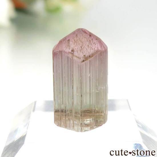 ピンクトルマリン　大型結晶　215g　原石　鉱物標本 アメリカ カリフォルニア Himalaya Mine産 ピンク×グリーン