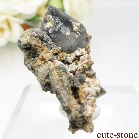 ꥢ Sasso delle Lucine ١Ĥդ No.1μ̿0 cute stone