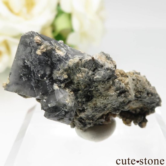 ꥢ Sasso delle Lucine ١Ĥդ No.1μ̿1 cute stone