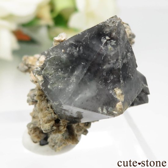 ꥢ Sasso delle Lucine ١Ĥդ No.1μ̿2 cute stone