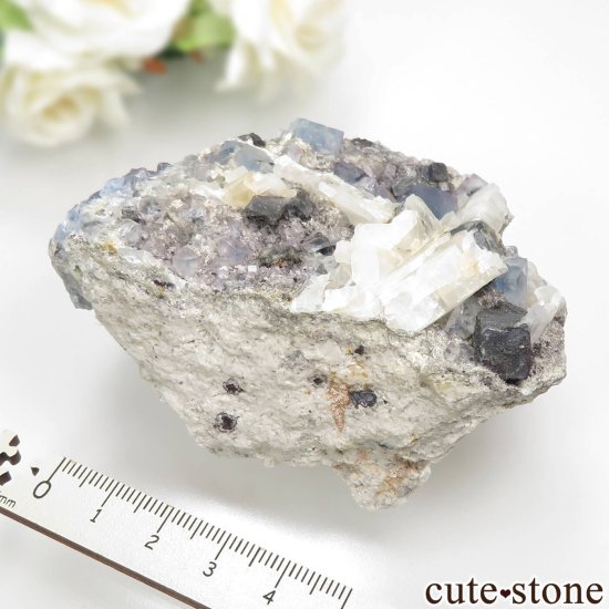 ꥫ ˥塼ᥭ TEAA Mine ֥롼ե饤ȡХ饤ȡʤθ No.1μ̿5 cute stone
